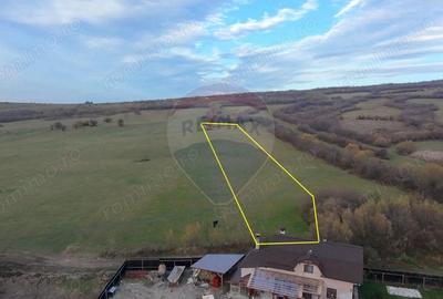 Teren de 5800 mp, în Purcăreni - 5