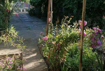 Casă cu 4 camere în Boureni - 3