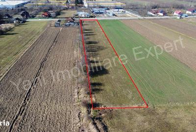 Teren de 3657 mp, în Băiculești - 5