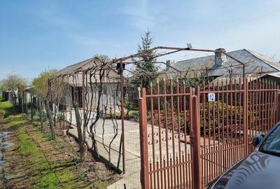 Casă cu 2 camere cu Teren 1500 Mp în Copaciu - 3