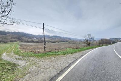 Teren agricol extravilan de 3500 mp, în Grigoreni - 2