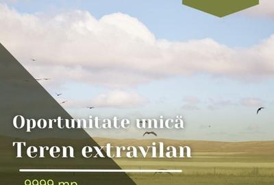 Oportunitate unica! Teren extravilan, 9999 mp, Pecica - 1