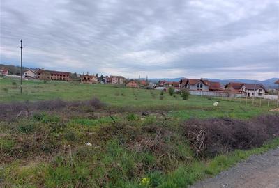 RECO Teren 4935mp in Beius - 2