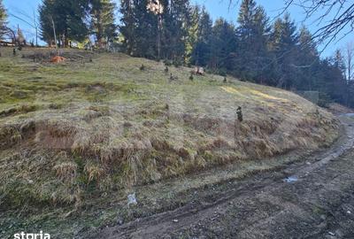 Teren de 2977 mp, în Scărișoara - 5
