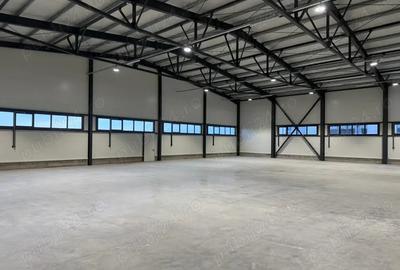 Proprietar, inchirez hala industriala pentru depozitare in Ghiroda - 1