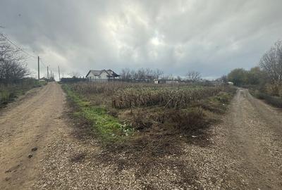 Teren 2.000 Mp | Ileana - Calarasi | Dubla Deschidere Stradala - 1