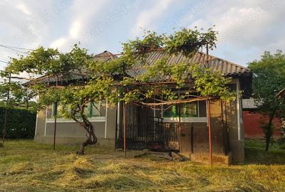 Casă cu 3 camere cu Teren 3867 Mp în Central - 5