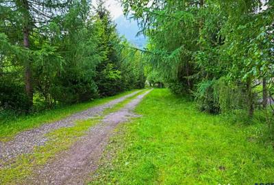 Spațiu comercial, de 980 mp, în Zărnești - 15