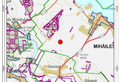 Teren extravilan 83500mp in Mihaile?ti, Giurgiu - 1