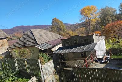 De vanzare doua case ,grajd si teren - 2