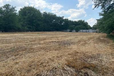 Teren de 2580 mp, în Central - 4