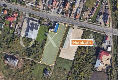 Teren Construcții intravilan de 8063 mp, în Buziașului - 1