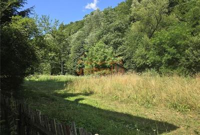 De vanzare cabana Somesul Rece ! - 6