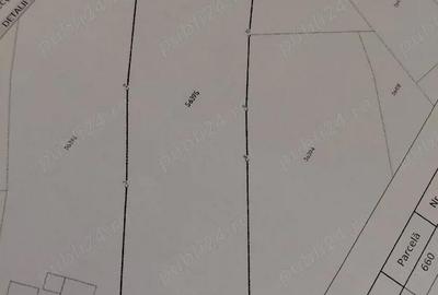 Casă cu Teren 4850 Mp în Coșula - 1