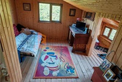 Teren intravilan + casa zona Fintesti - 5