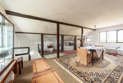 0% COMISION!! CASA PARTER + MANSARDA -RACHITELE DE JOS - COCU 0% COMISION!! CASA PARTER + MANSARDA -RACHITELE DE JOS - COCU - 17