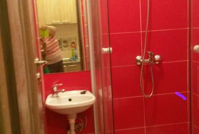 Garsonieră nedecomandată în Buziașului - 5