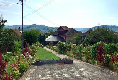 Casa cu Gradina, Parc si Priveliste in Brad, Jd. Hd - 3