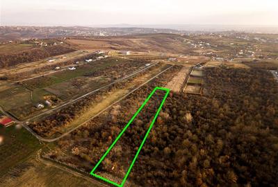 Teren intravilan de 4333 mp, în Săldăbagiu de Munte - 5