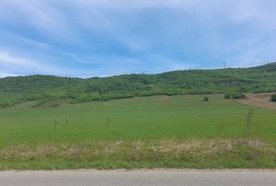 Teren de 100000 mp, în Dej - 1