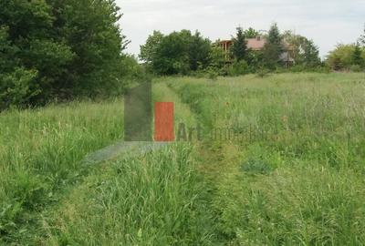 Teren Buftea cu iesire la lac - 23