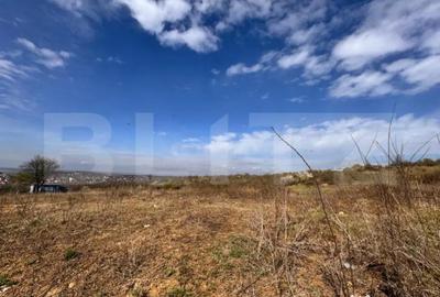 Teren de 710 mp, în Bârnova - 1