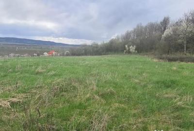 Teren de 12264 mp, în Central - 2