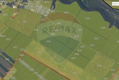 Vanzare Teren Constructii Adunatii-Copaceni, Deschidere Directa la DN5 - 2