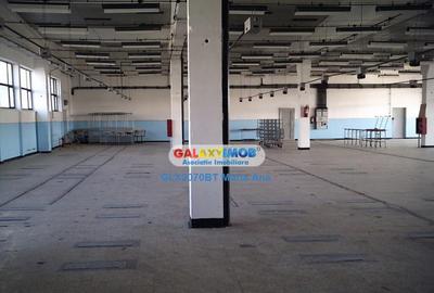 Oportunitate: Spatiu Industrial P 1E 3.900 mp. cu 7.300 mp. - 3