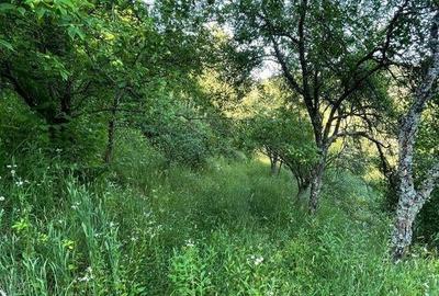 Teren de 9409 mp, în Roșia - 1