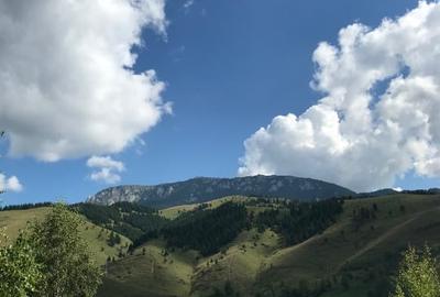 Teren vanzare Sandominic (Balan), Harghita - 6