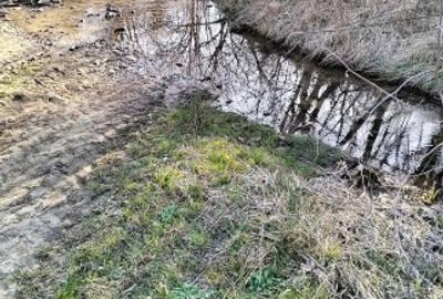 Teren agricol extravilan de 10600 mp, în Dieci - 4