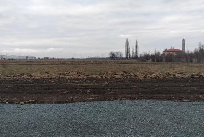 Teren construcție, în Ghiroda - 3