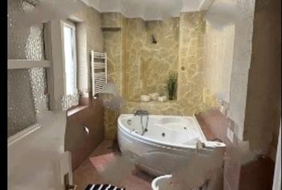 Cotoceni,Gradina Botenica,Amenajat,centrala,mobilat utilat complet - 9
