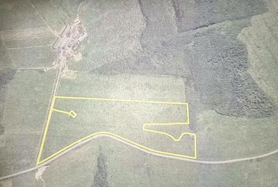 Teren de 10000 mp, în Central - 1