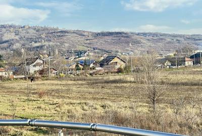 Casă cu Teren 750 Mp în Lipănești