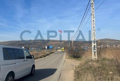 Oportunitate de investitie, teren intravilan, 10 000mp, zona Sub Coasta - 2