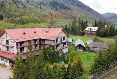 Casă cu Teren 6000 Mp în Lepșa - 8