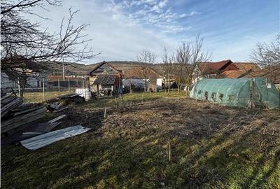 Casă cu 2 camere cu Teren 1000 Mp în Central - 12