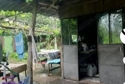 Casă cu 6 camere cu Teren 3365 Mp în Constantin Brâncoveanu - 1