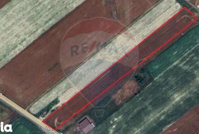 Teren de 12360 mp, în Vulturu - 2