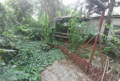 Casă individuală cu 11 camere cu Canalizare în Cișmigiu - 2