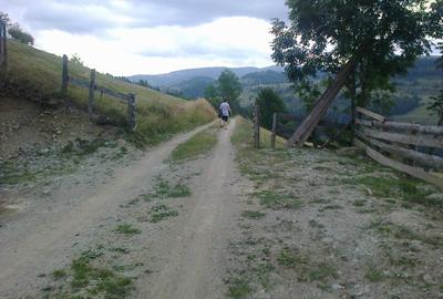 Teren intravilan Arieșeni - 5