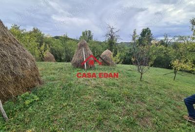 Casă cu Teren 1671 Mp în Șotrile - 2