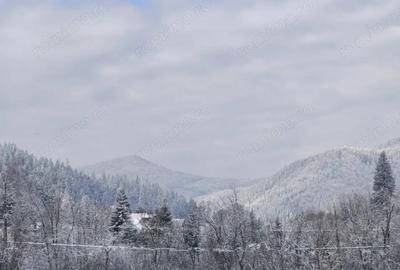 Teren de 22600 mp, în Sucevița - 7