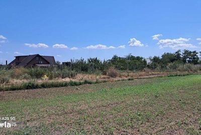 Teren de 1000 mp, în Vânători - 3