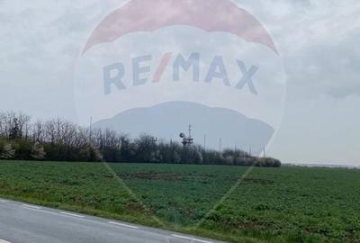 Teren de vanzare Ganeasa Ilfov | 500 m de DN | Rezidential/Industrial Teren de vanzare Ganeasa Ilfov | 500 m de DN | Rezidential/Industrial - 3