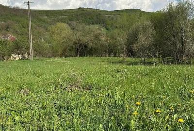 Teren în Bădești - 1