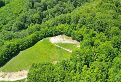 Teren de 16000 mp, în Poiana Mărului - 5