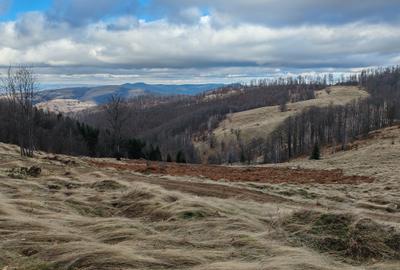19,5 Ha  TEREN PEISAJ PANORAMIC SPECTACULOS zona turistica montana BULZ -  BIHOR - 53